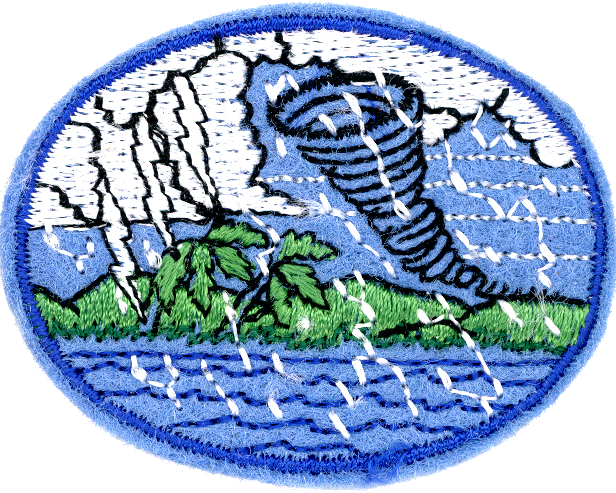 File:Outdated Natural Disasters Florida Honor.png
