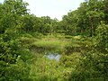Thumbnail for version as of 02:23, 26 June 2011