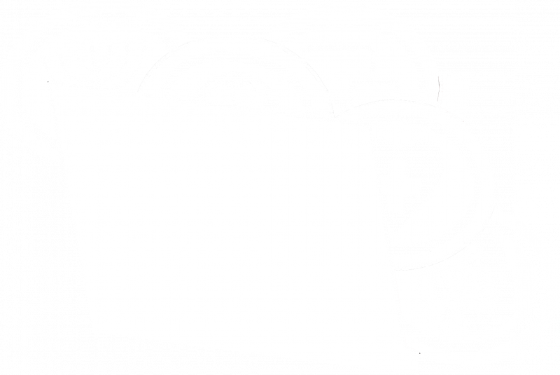 File:AY Answer Book.png