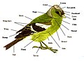 Thumbnail for version as of 16:55, 14 June 2005