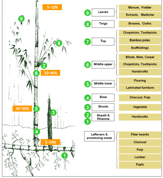 File:Uses of bamboo.png