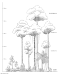 Thumbnail for version as of 17:25, 9 February 2007