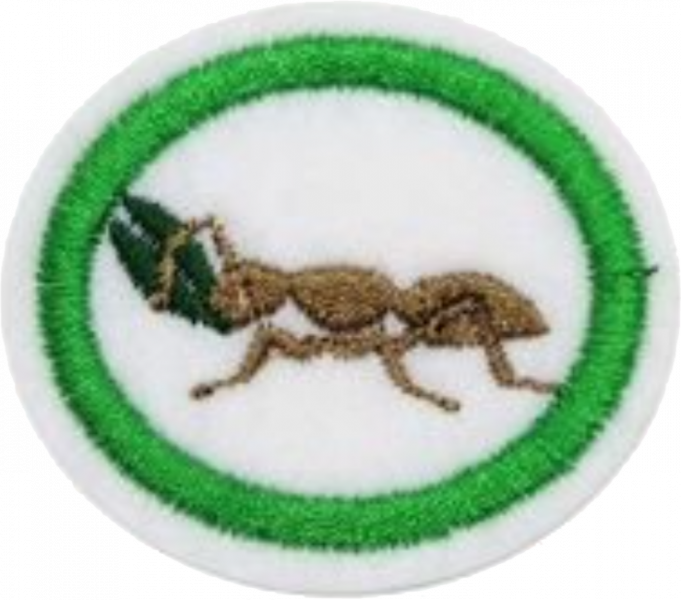 File:Ants AY Honor.png