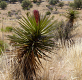 Thumbnail for version as of 04:20, 22 May 2007
