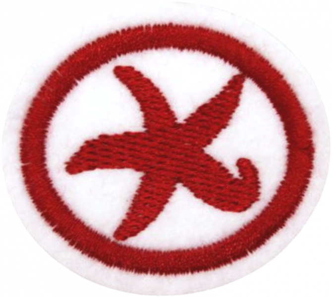 File:Echinoderms AY Honor.png