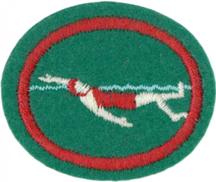 File:Intermediate Swimming AY Honor.png