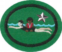Water Safety Instructor Advanced AY Honor.png