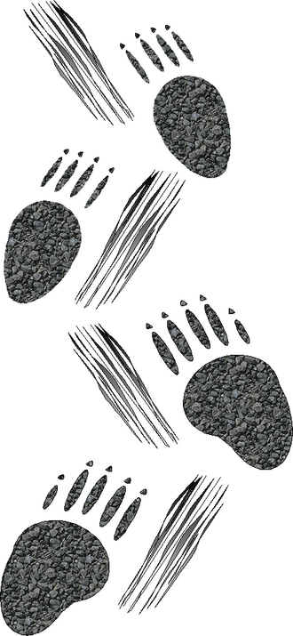 Porcupine tracks.png