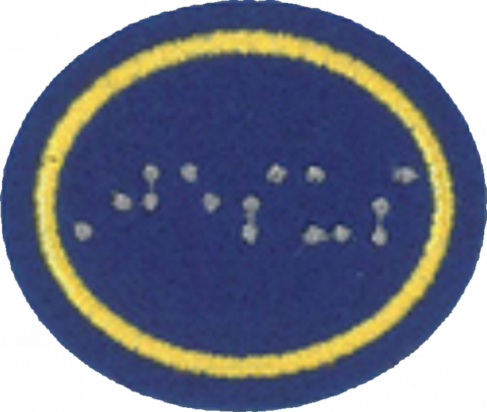 File:Braille (NAD) AY Honor.png