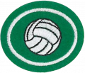 Volleyball AY Honor.png