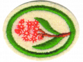 Thumbnail for version as of 01:32, 27 July 2012