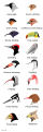 Thumbnail for version as of 21:23, 20 January 2025