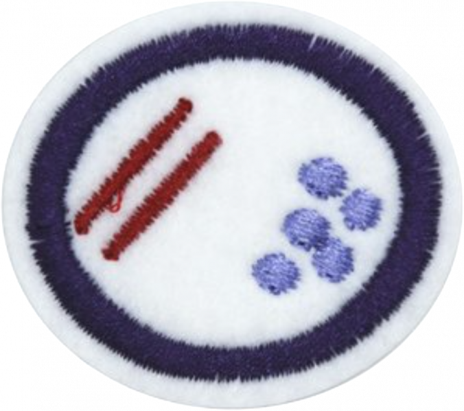 File:Bacteria AY Honor.png