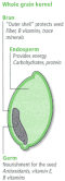 Thumbnail for version as of 17:25, 13 September 2007