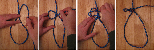 Manger knot.png