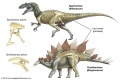 Dinosaur Orders.jpg