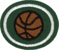 Basketball AY Honor.png