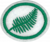 Ferns AY Honor.png