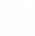 Pathfinder Logo Simplified - SPANISH.png